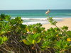mozambique 2