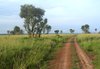 red road