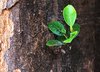 new life