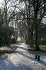Park shadows