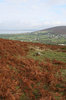 Gower vignette