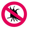 No bonfire