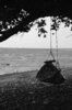 hammock
