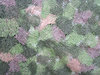 Camouflage texture