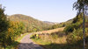 A road in the mountains