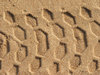 prints in the sand