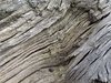 Old wood