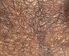 crumpled texture