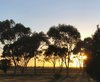morning has broken