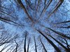 Look up