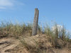 sand dunes 2