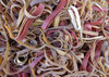 rubber bands 2