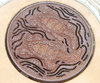 turtle drain cover