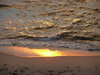 golden seashore 2