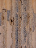 the colours of rust