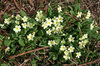 Signs of spring