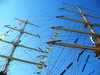 Masts 1