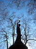 Trees & freedom 2