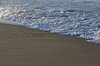 Foam texture 1