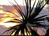 Silhouette