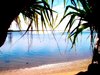 Paradise 2