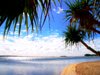 Paradise
