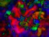 Vivid Abstract 