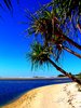 Paradise 4