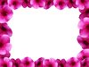 Floral Border 8