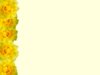Floral Border  25