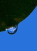 Raindrop Reflections