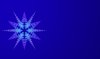 Christmas Star