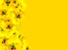 Floral Border 33