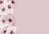 Floral Border 35