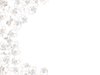 White Rose Border 1