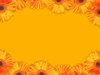Floral Border 43