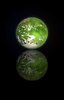 Green Planet