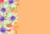 Floral Border 45