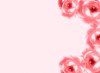 Floral Border 47