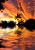 Tropical Waters 2