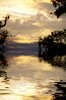Water Scene 3