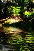 Water Scene 5