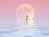 Sailor Moon 2