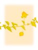 Spring Branch 2
