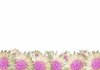 Flower Border 1