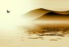 Cold Morning 2