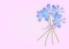 Spring Flowers Background 2