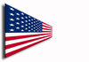 USA National Flag