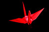 Tsuru 2