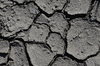 Parched earth